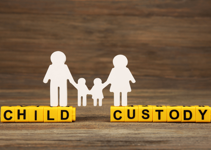 partial child custody